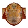 Excellence Championship Belts and Awards the Ultimate Symbol of Victory and Championship Belts Trophies Medals Manufacturers, Suppliers in Sialkot