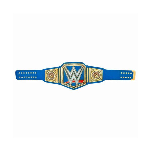 High Quality Customized Championship Belt Unisex Custom Colors Logo and Packaging Manufacturers, Suppliers in Sialkot