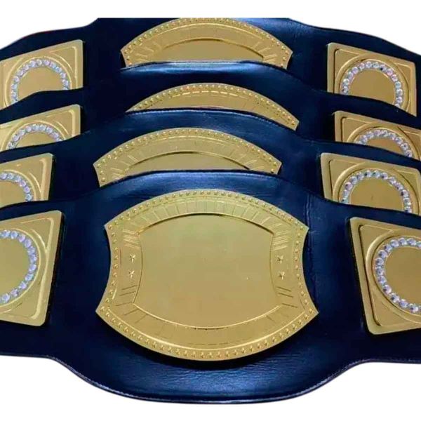 Unisex Martial Arts Equipment Personalized Colors and Logos  Belt Popular Championship Belts Manufacturers, Suppliers in Sialkot